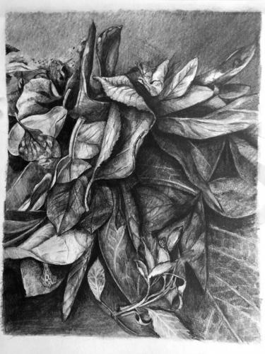 10fff-855x1140